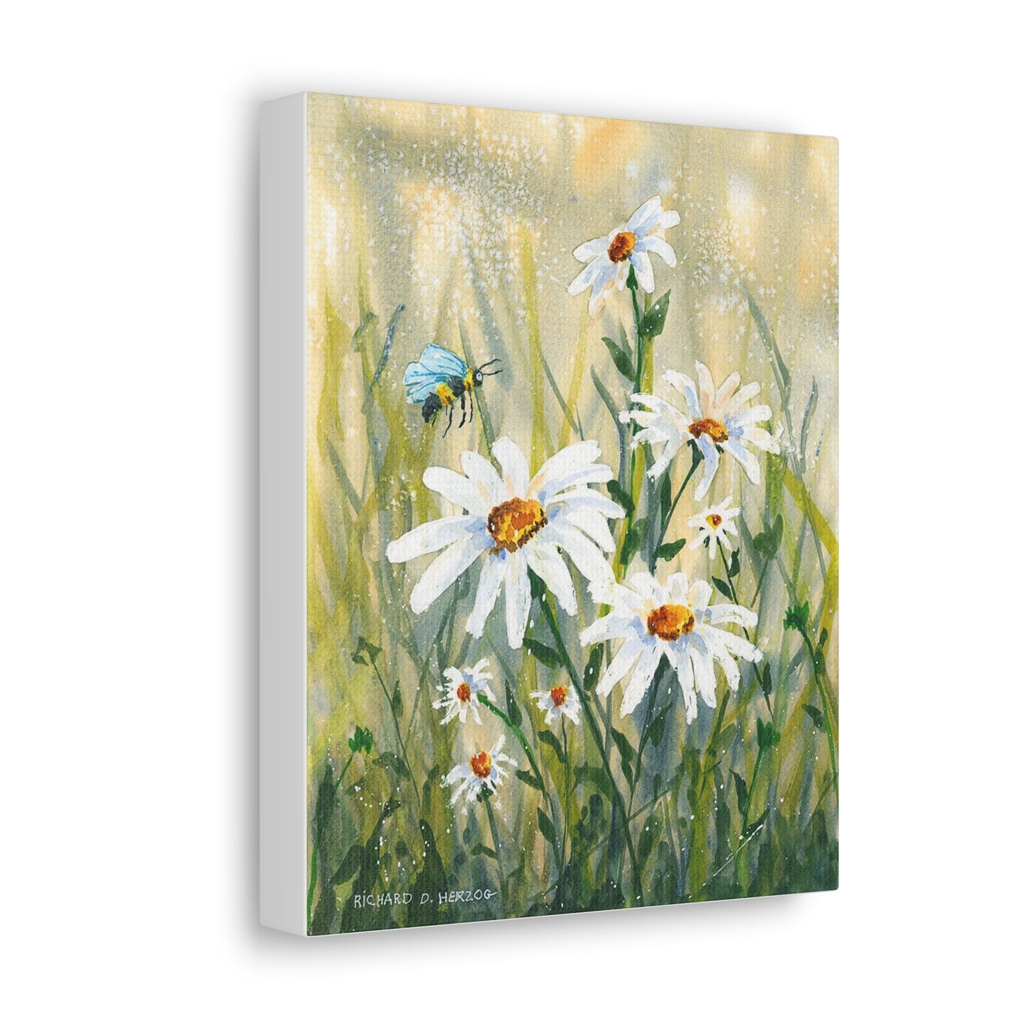 Daisies And Bee Canvas Print