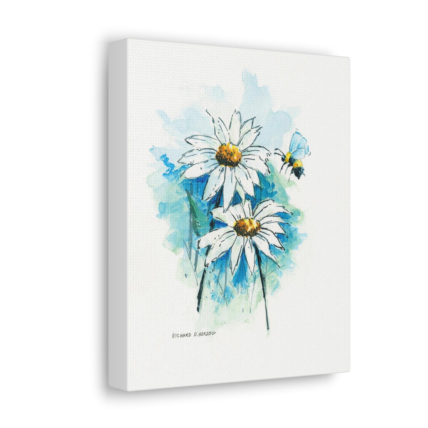 Water Color Blue Daisies Canvas Print