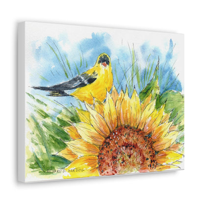 Finch On Sunflower Canvas Print