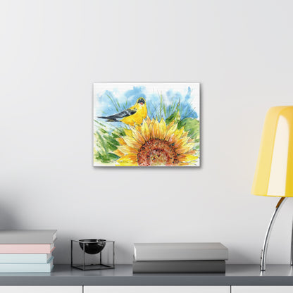 Finch On Sunflower Canvas Print