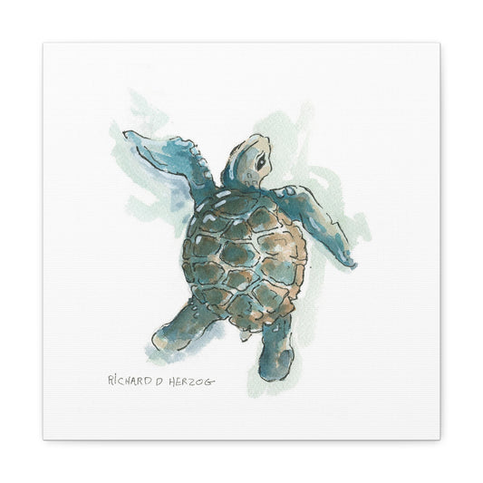 Forward Sea Turtle Square Canvas Print