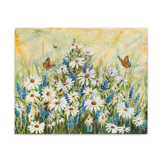Field Of Daisies Canvas Print