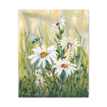 Daisies And Bee Canvas Print