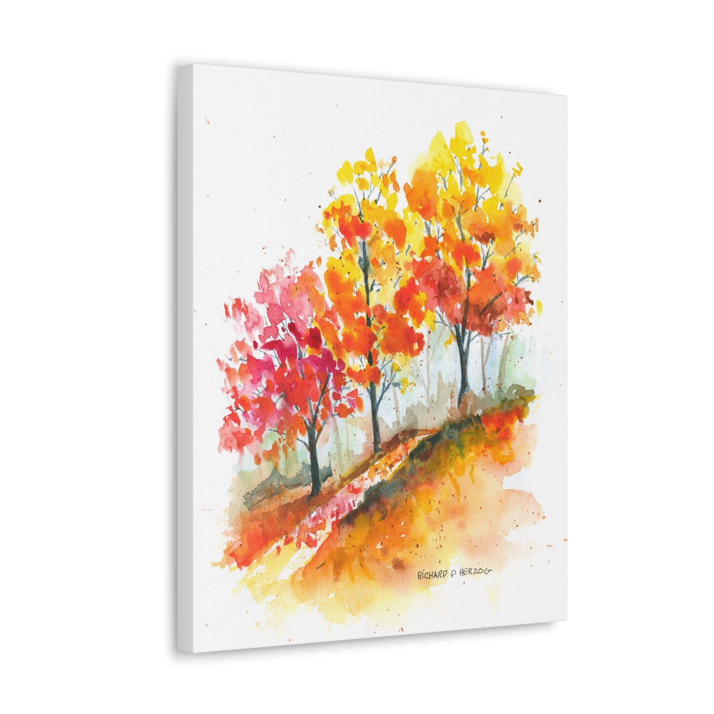 Autumn Trees Canvas Print