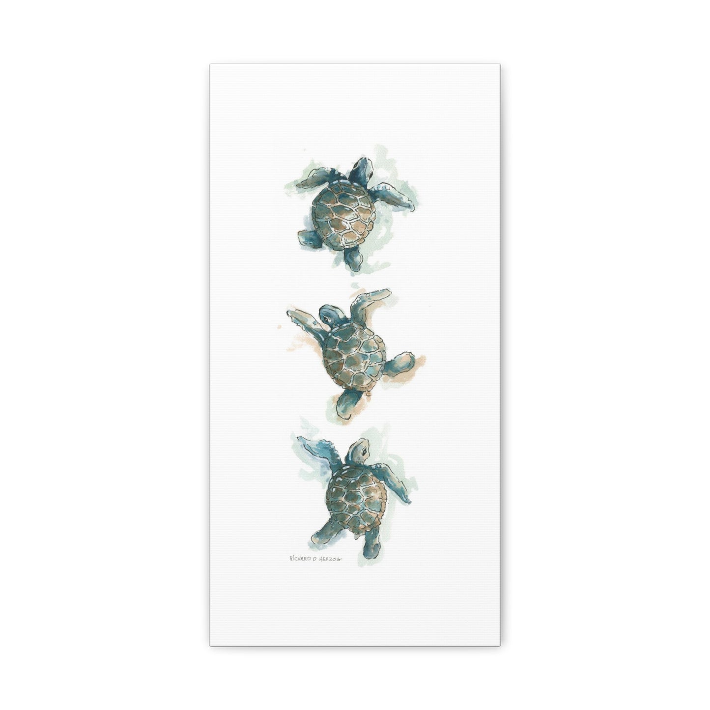 Three Vertical Sea Turtles Vertical Canvas Print