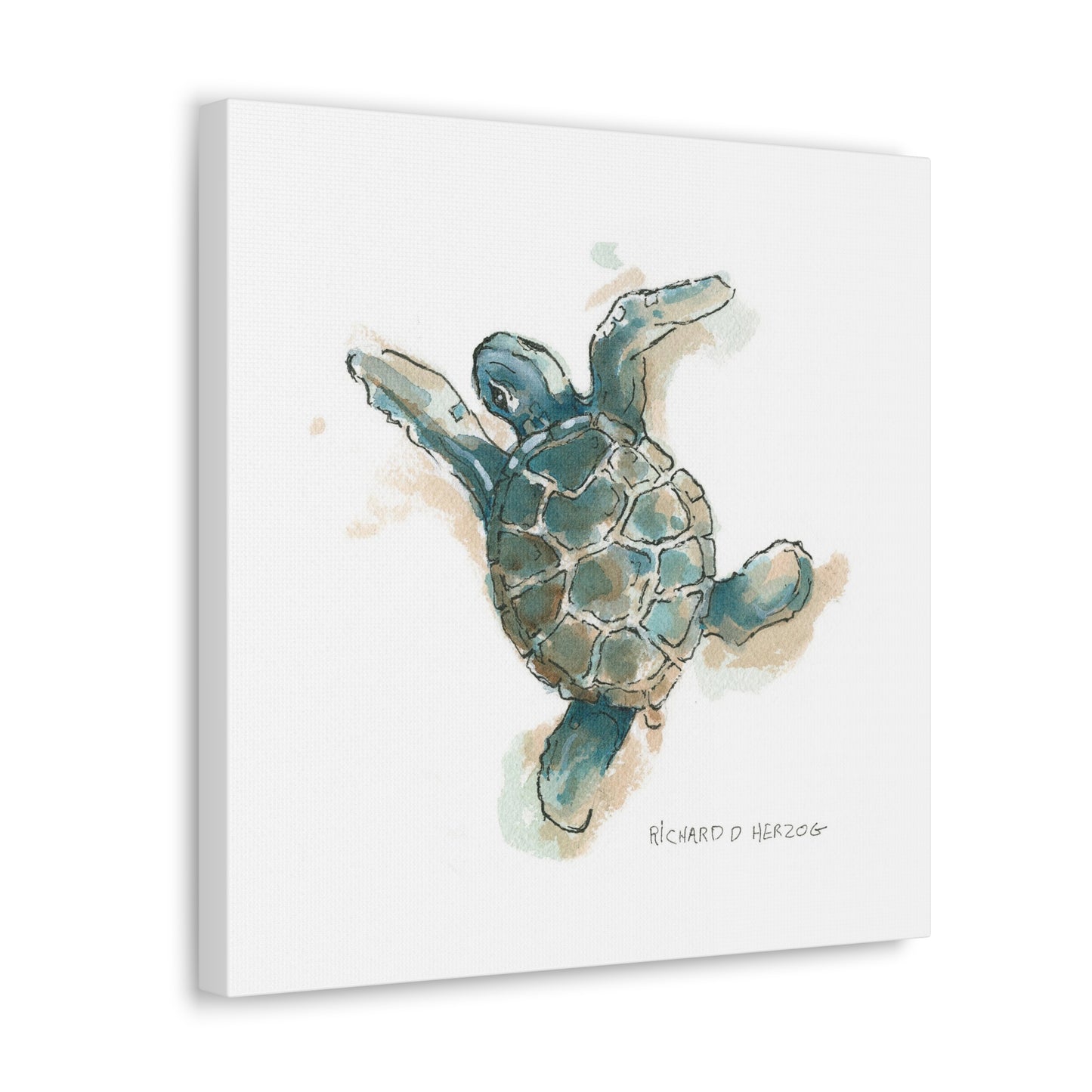 Left Sea Turtle Square Canvas Print