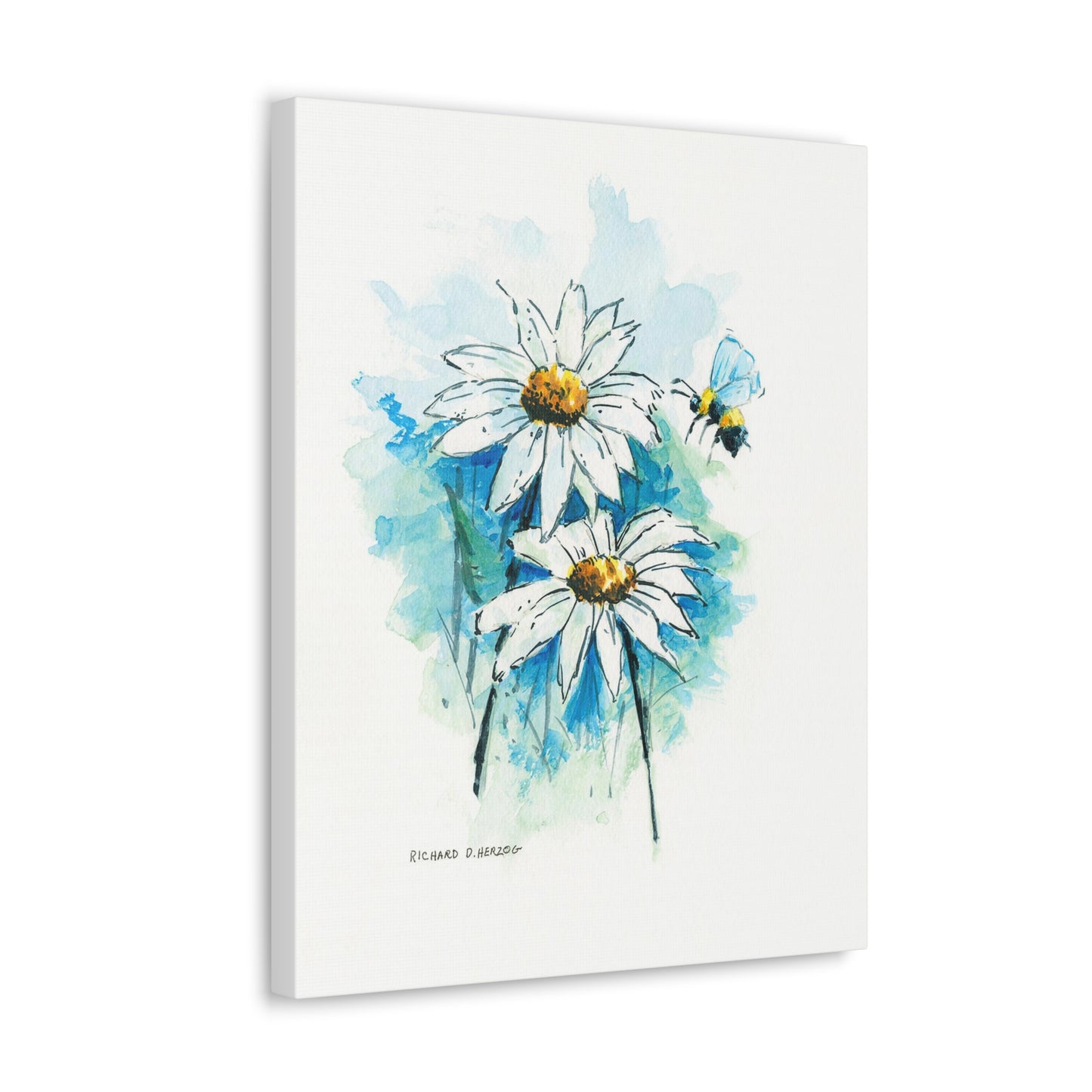 Water Color Blue Daisies Canvas Print