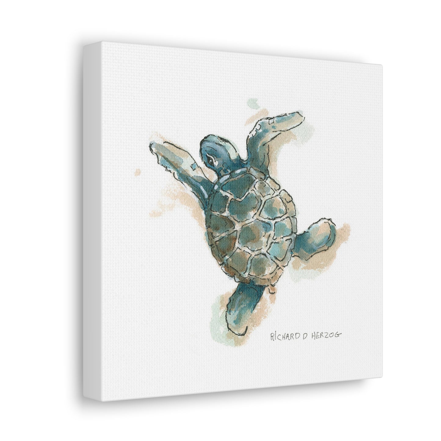 Left Sea Turtle Square Canvas Print