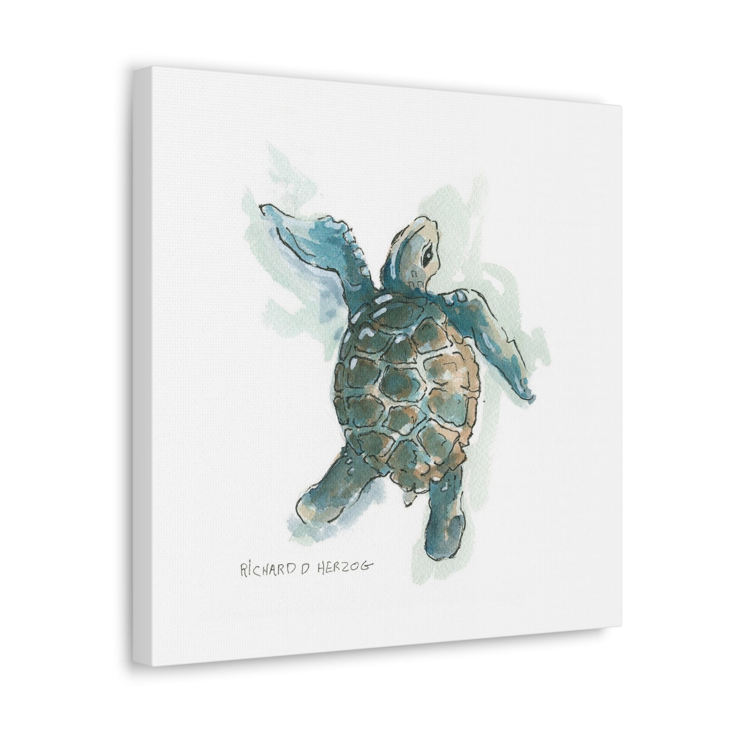 Forward Sea Turtle Square Canvas Print