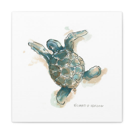 Left Sea Turtle Square Canvas Print