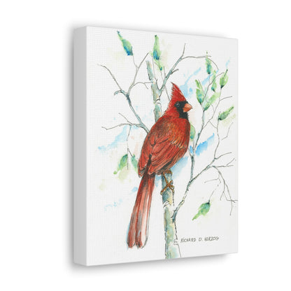 Cardinal On Branch Canvas Print