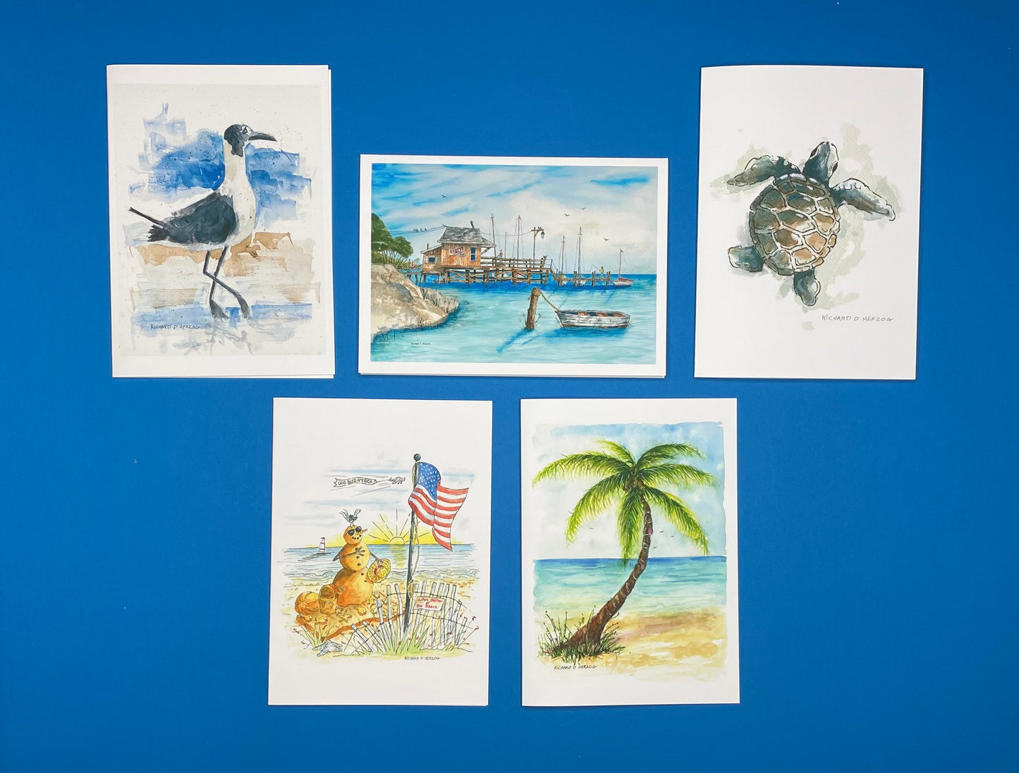 Beach Card Set of 5 Cards - Includes Sea Gull, Rusty's Marina, Sea Turtle, American Sandman, & Palm Tree