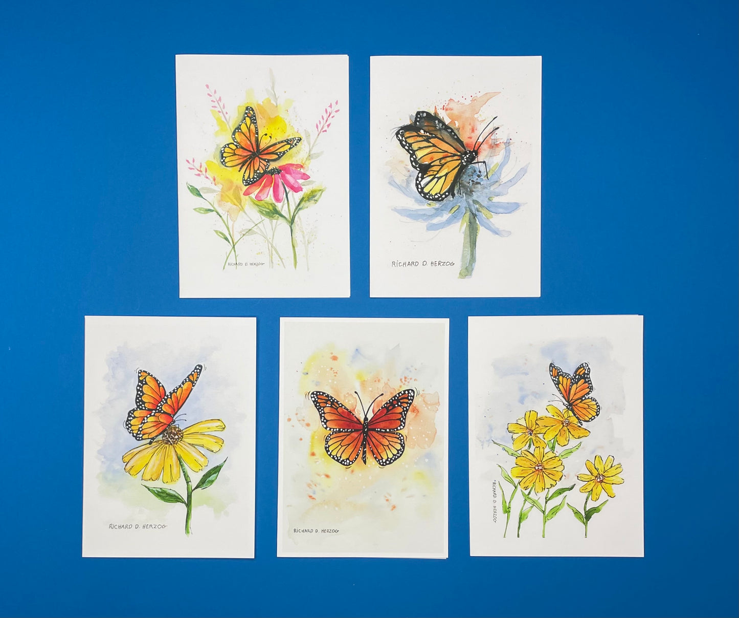 Monarch Butterflies Card Set of 5 Cards - Includes Butterfly on Pink Flower, Butterfly on Blue Flower, Buttlerfly on Yellow Flower, Butterfly, Butterfly on Flowers