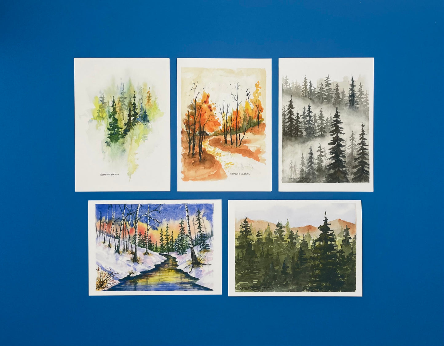 Forest Trees Card Set of 5 Cards - Includes Evergreens, Autumn Trees, Foggy Trees, Winter Wonderland, More Trees