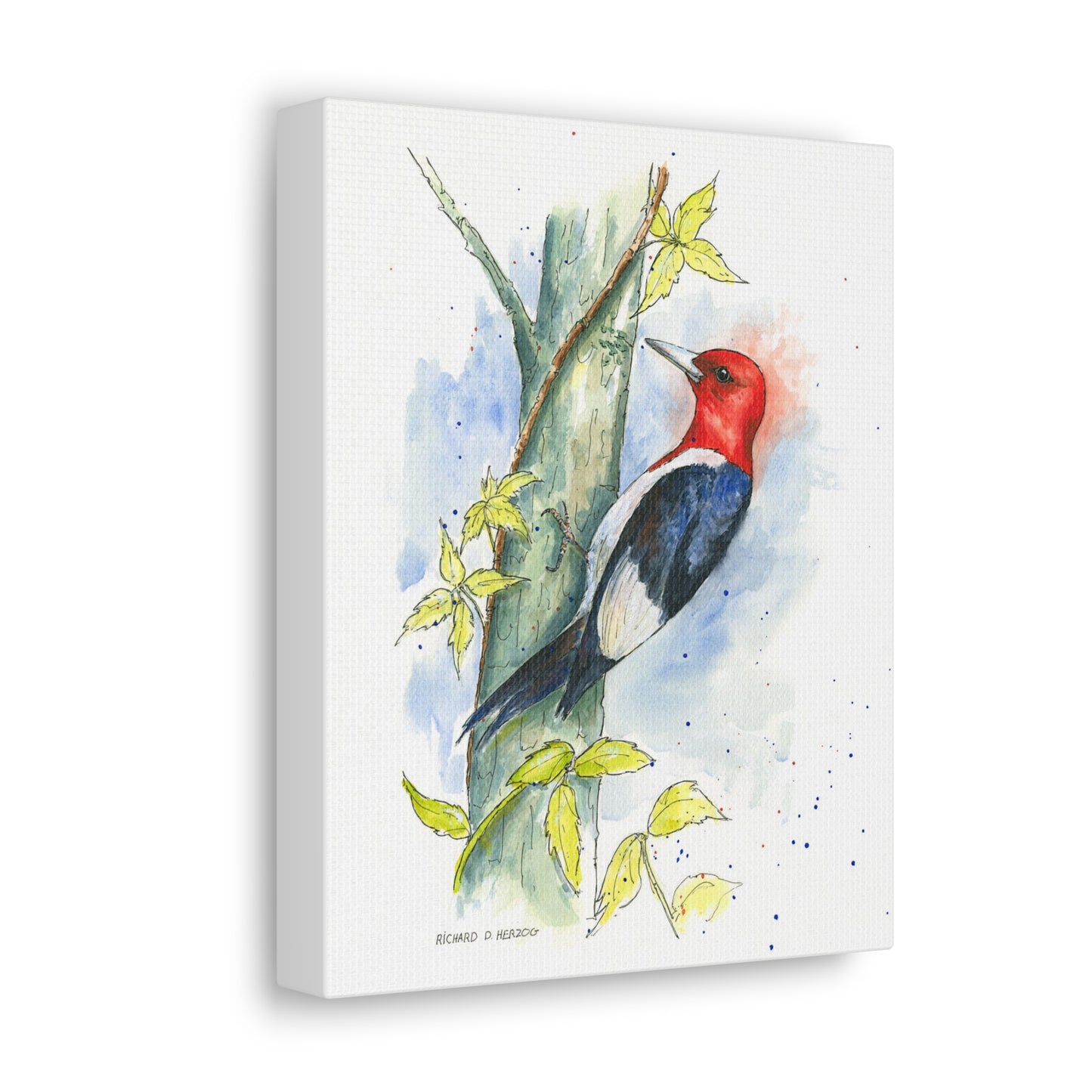 Woodpecker Canvas Print