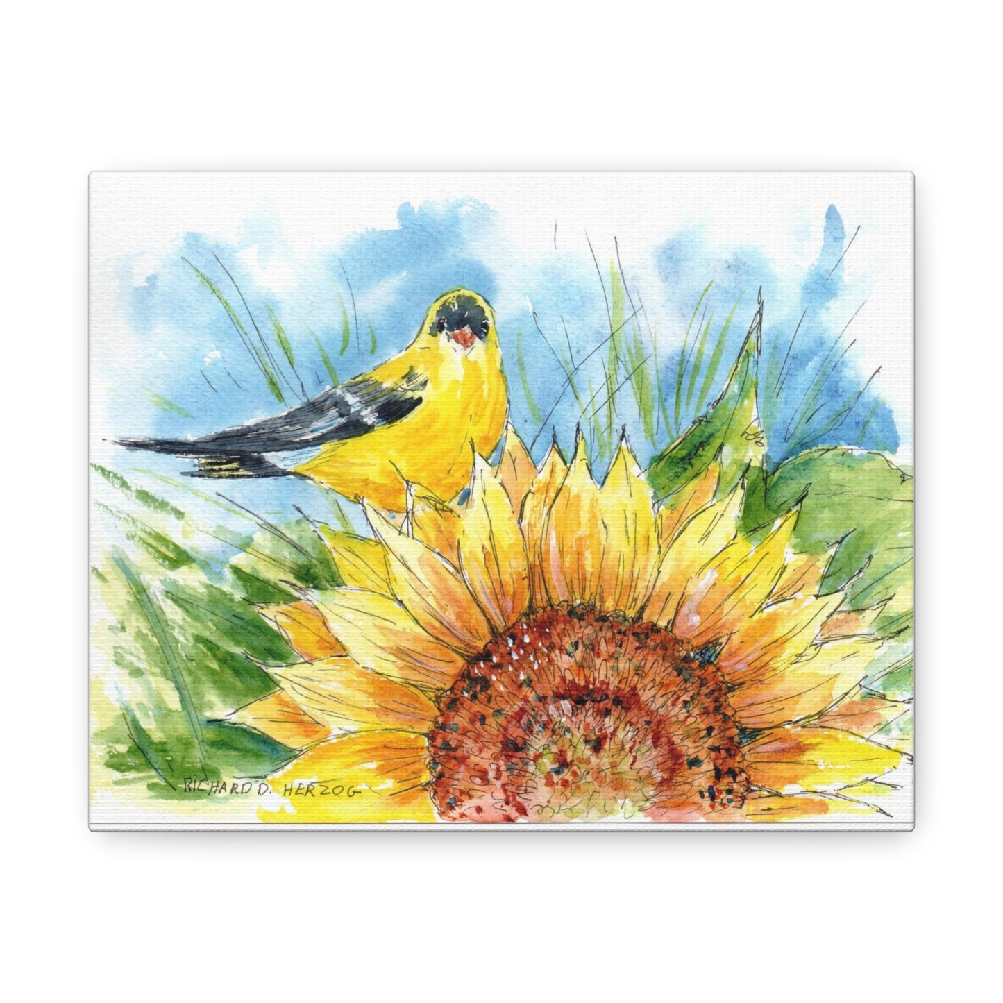 Finch On Sunflower Canvas Print