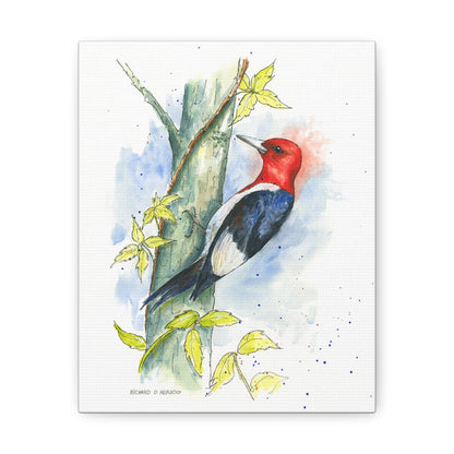 Woodpecker Canvas Print