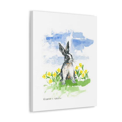 Bunny Canvas Print