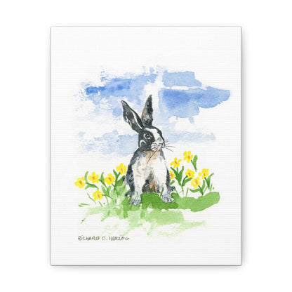 Bunny Canvas Print