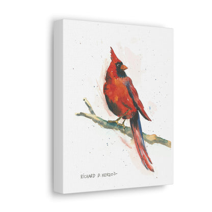 Red Cardinal On Branch Canvas Print